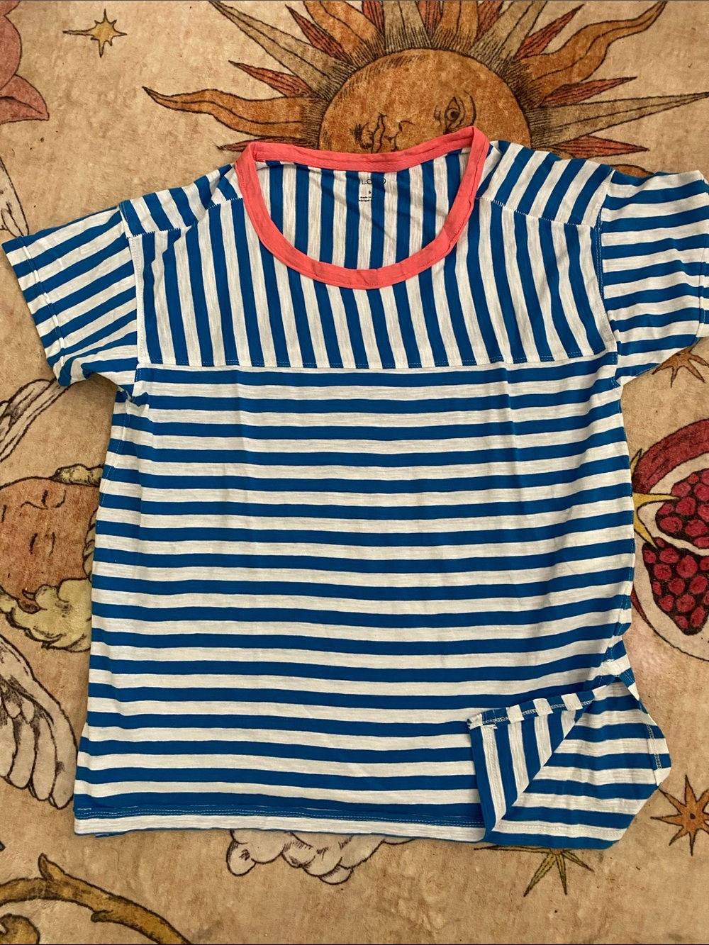 Polcto by Anthropologie Blue & White Stripe tee shirt stripe Top with Coral Trim
